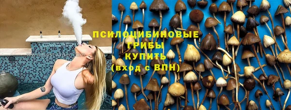 прущая мука Алексин
