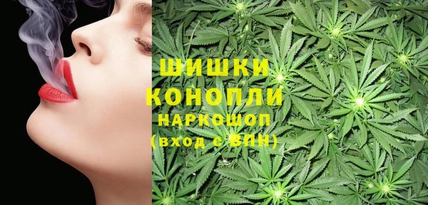 2c-b Алзамай